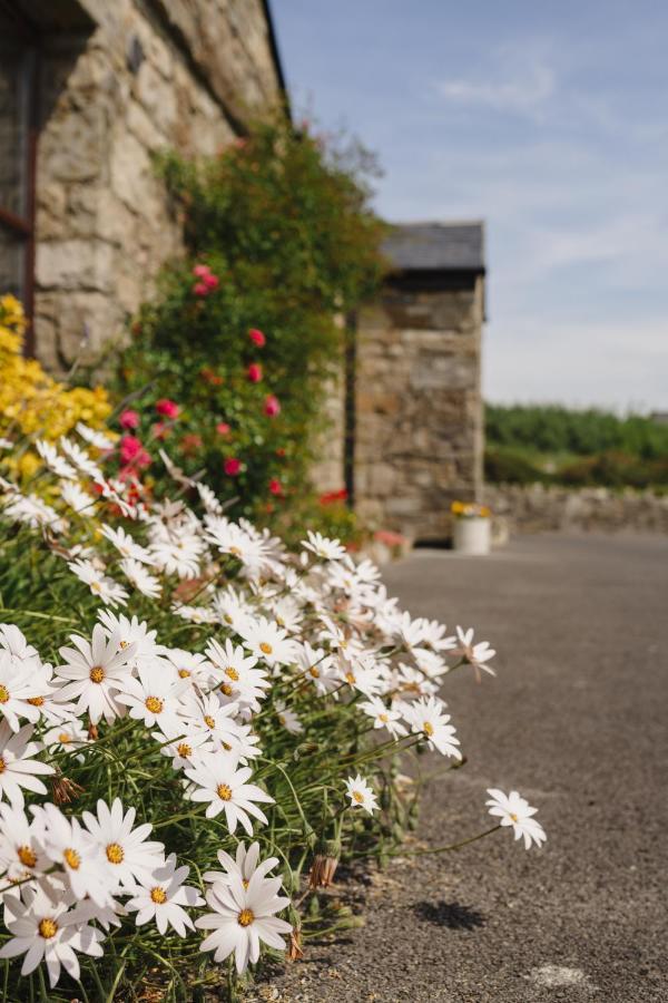Creevy Cottages Rossnowlagh Exterior foto