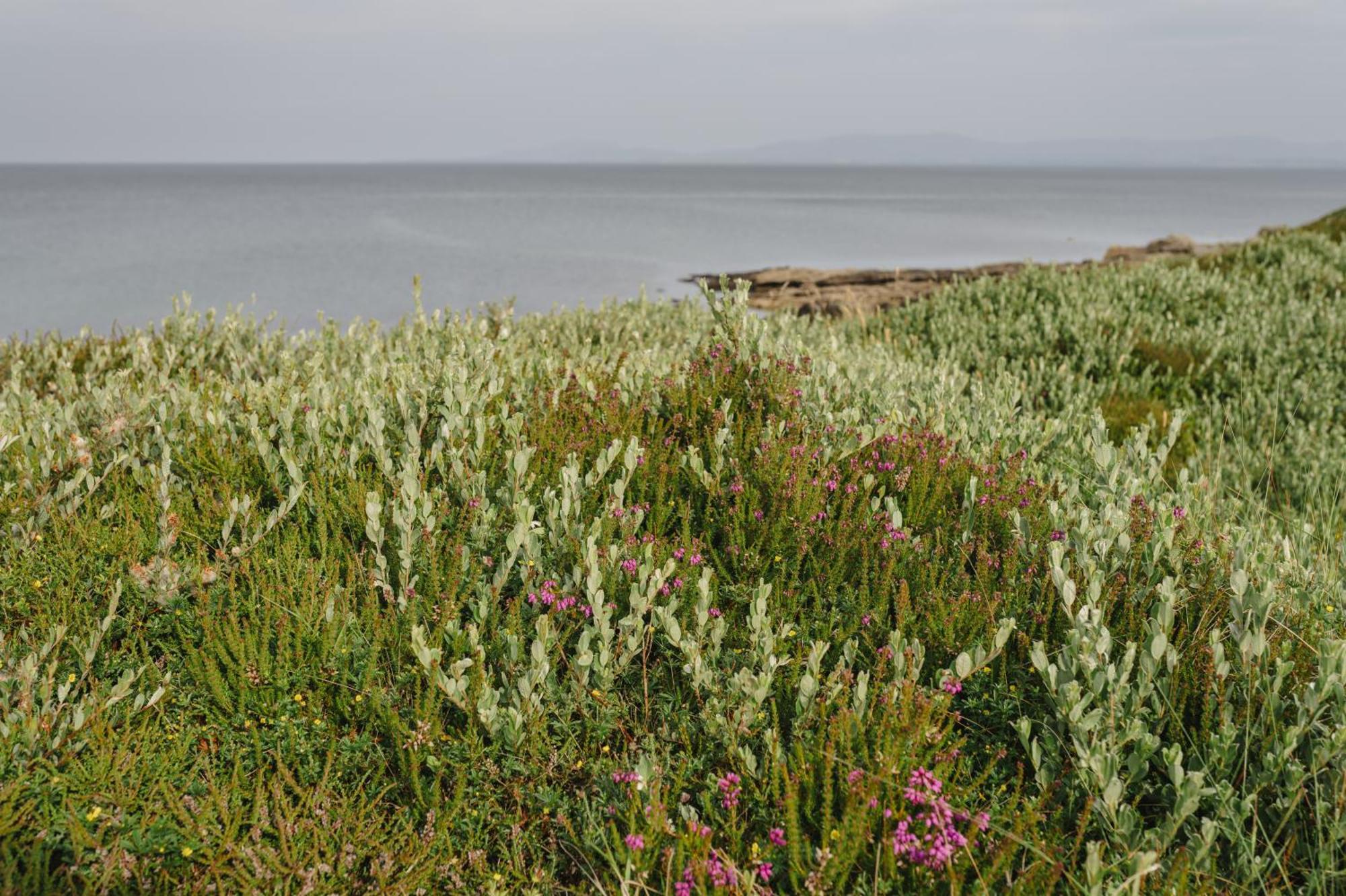 Creevy Cottages Rossnowlagh Exterior foto